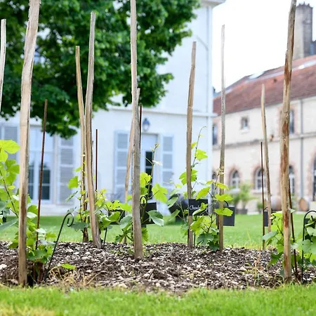 Qualisterra - Oenotourisme Conscient Affittacamere 3*