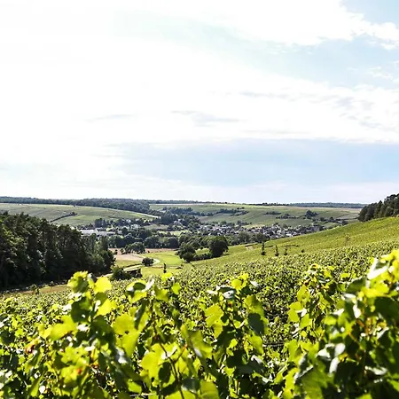 Affittacamere Qualisterra - Oenotourisme Conscient